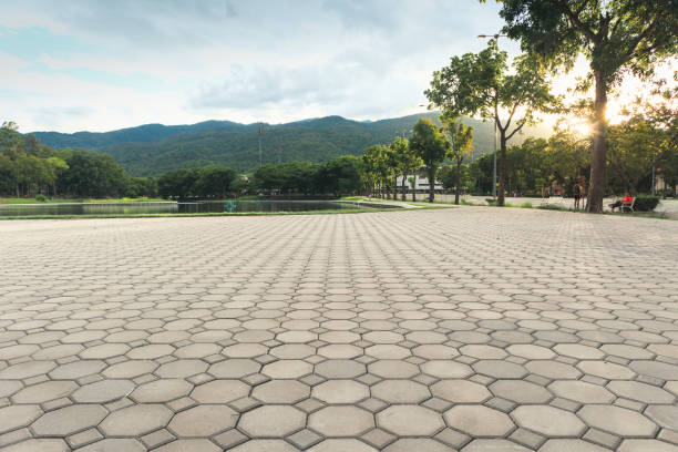 Best Professional Driveway Pavers  in Jessup, MD